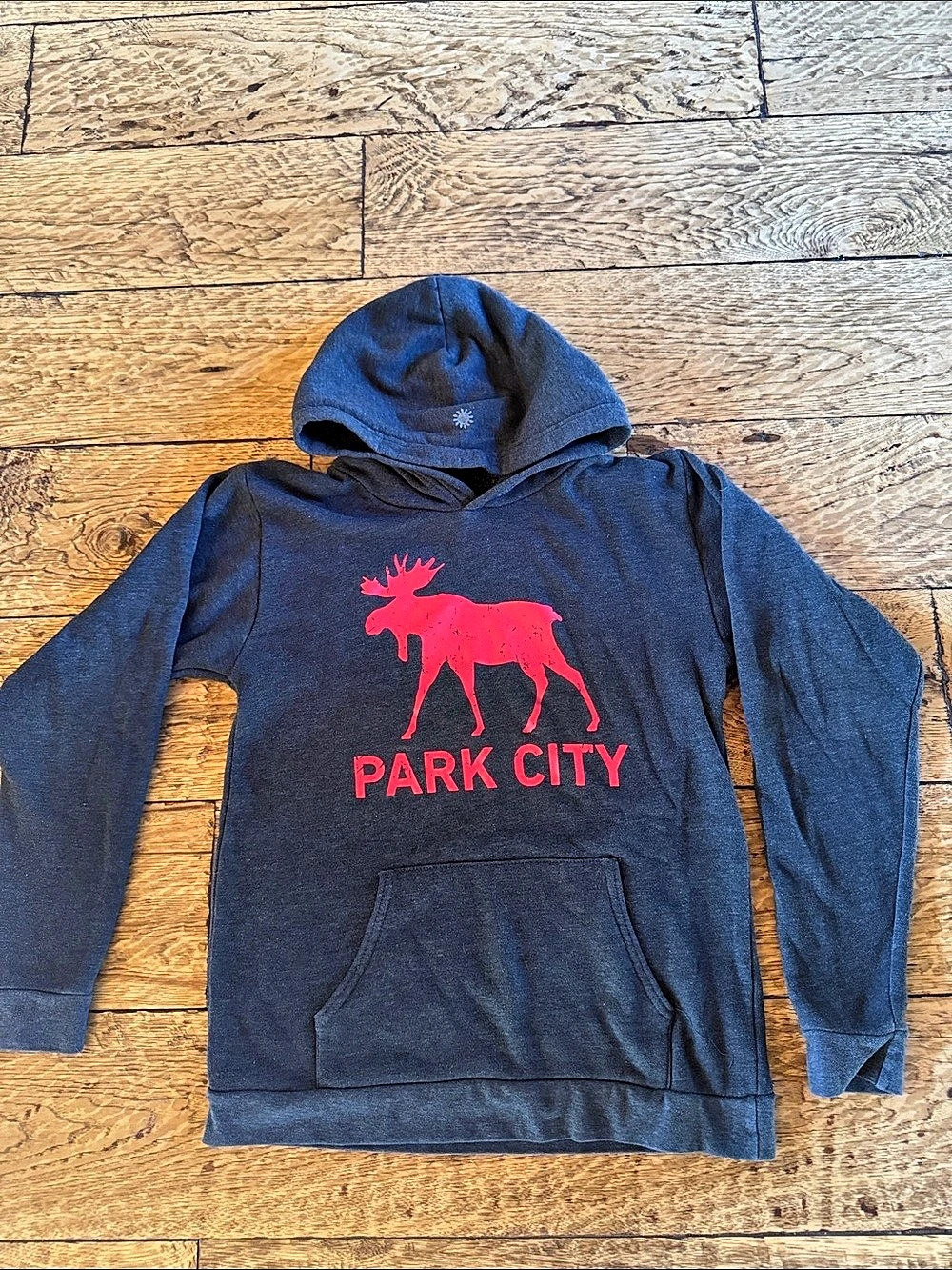 Charcoal grey Park City Hoodie-